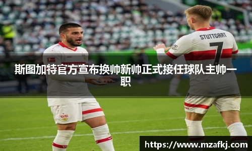 中欧体育