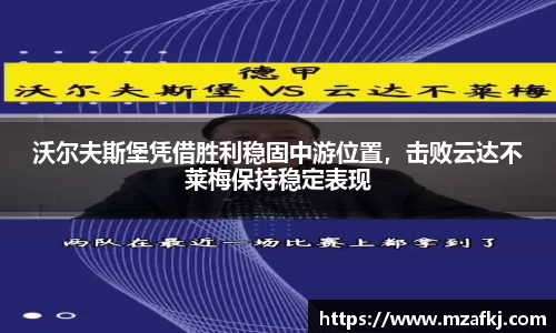 中欧体育