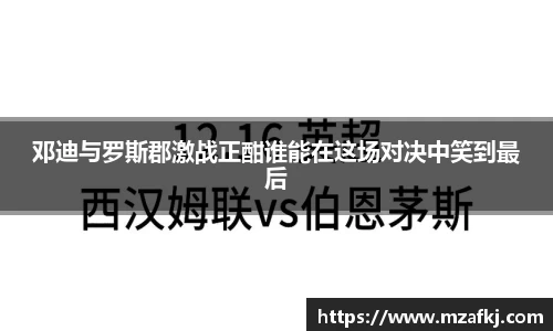中欧体育