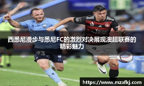 中欧体育官网