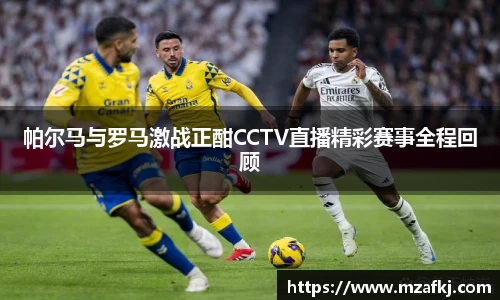 中欧体育网址
