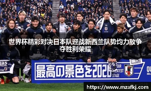 中欧体育