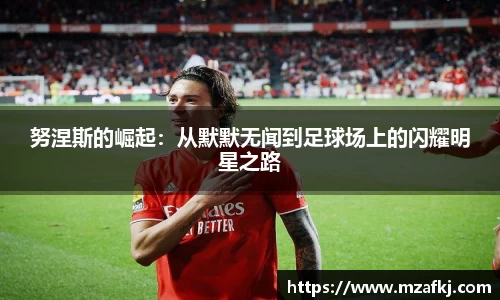 中欧体育