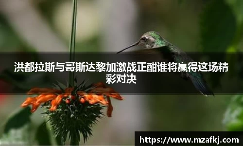 中欧体育