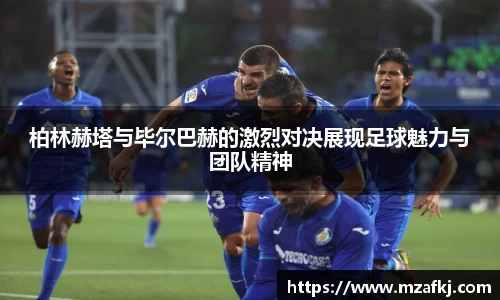 中欧体育网址