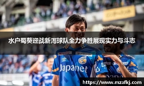 中欧体育网址