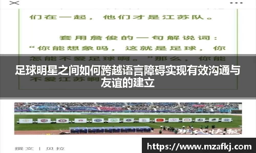 中欧体育