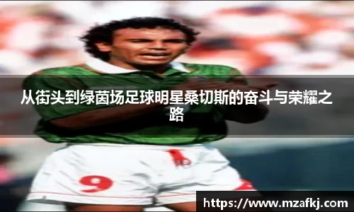 zoty中欧体育