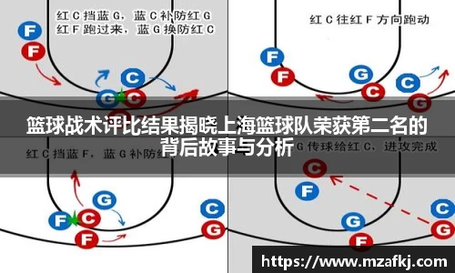 中欧体育