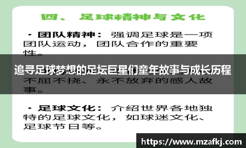 中欧体育官网